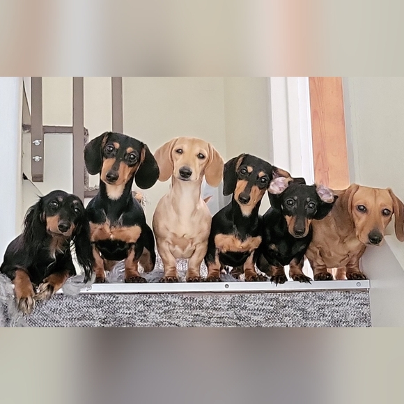 Meet your Posher, Jenna - Picture 6 of 11